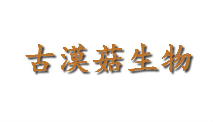 內蒙古漠菇生物科技有限公司