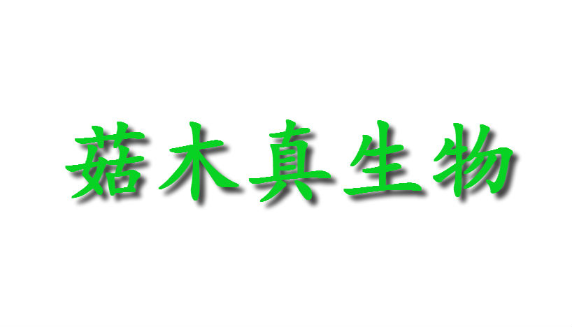 菇木真生物