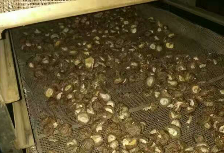 食用菌烘干機