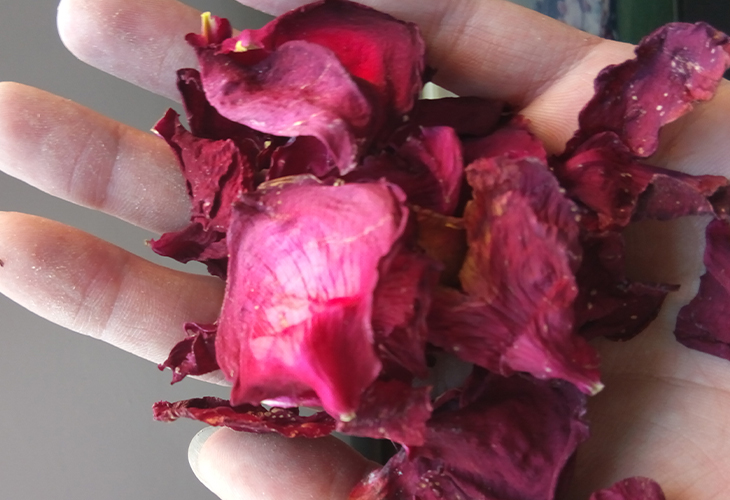 玫瑰花烘干機