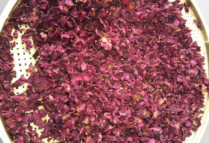 玫瑰花烘干機價格