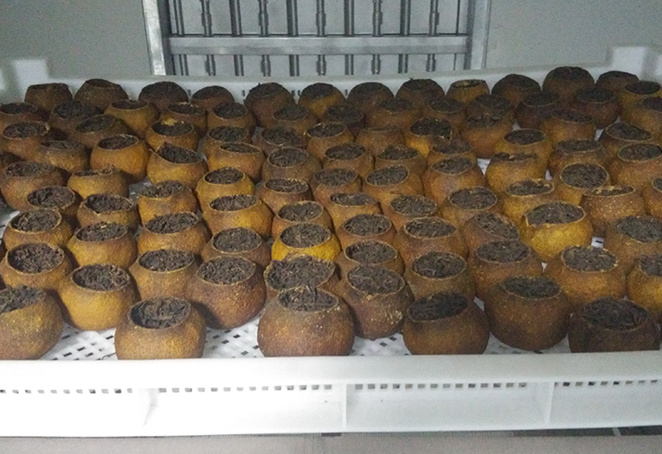 茶葉烘干機多少錢