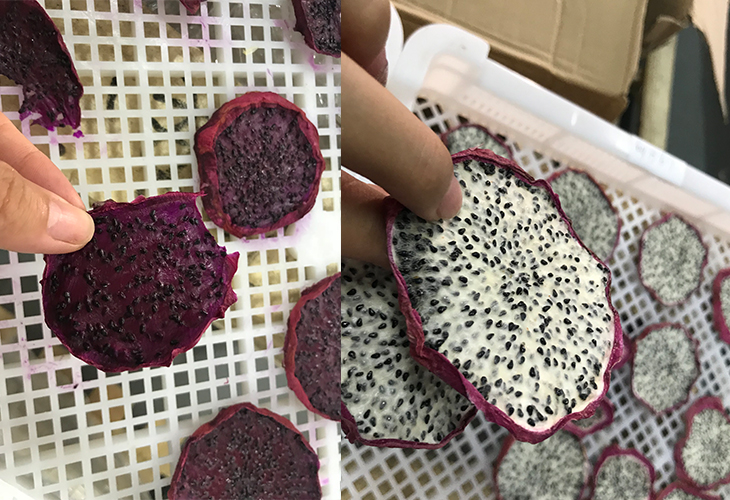 火龍果烘干機價格