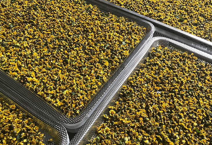 野菊花烘干機(jī)