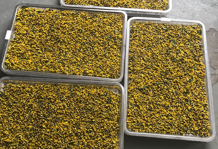 朵菊花烘干機(jī)