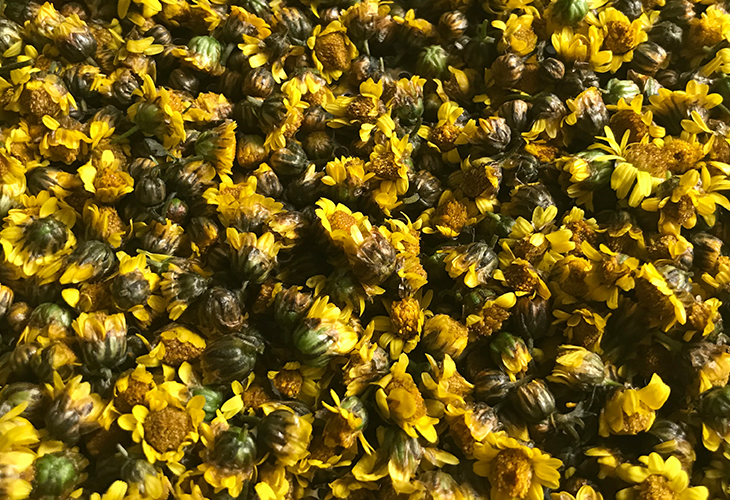 小型菊花烘干機(jī)