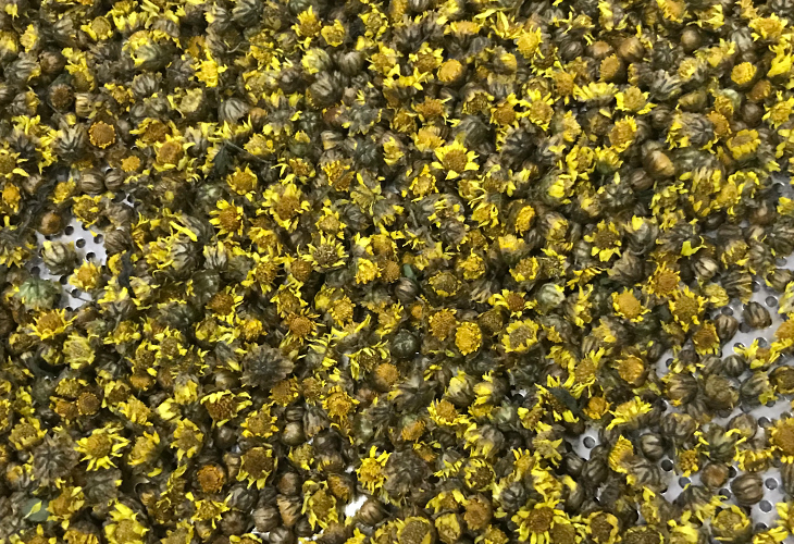 菊花烘干機(jī)價(jià)格