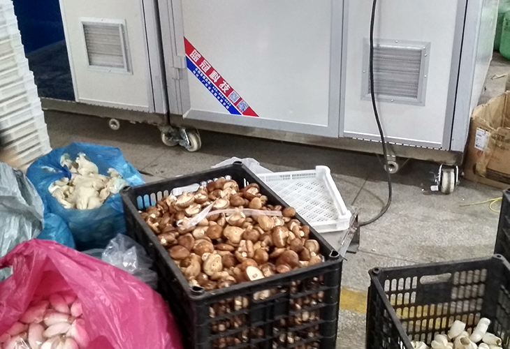 大型食用菌烘干機