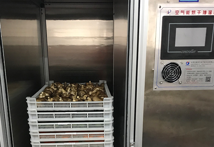 云南食用菌烘干機