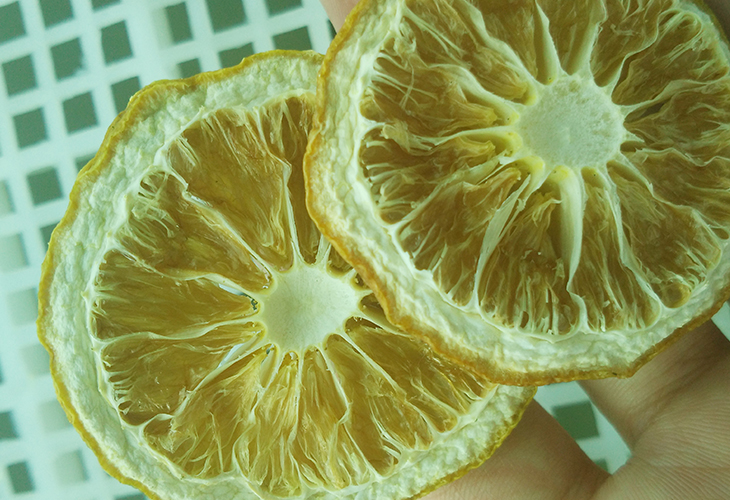檸檬烘干機價格