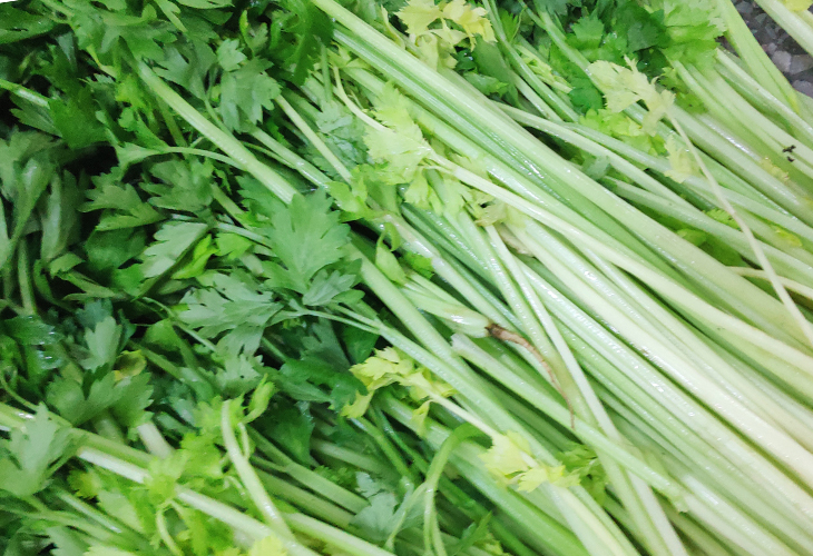 芹菜烘干機(jī)