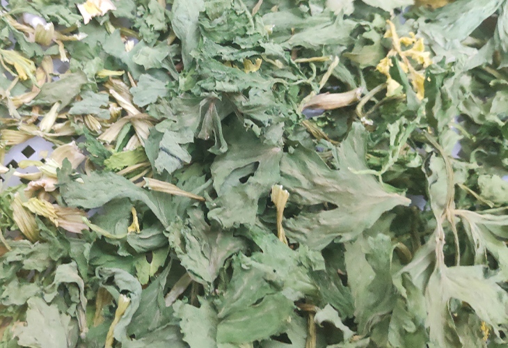 蔬菜烘干機(jī)多少錢