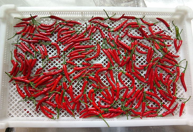 食品烘干機 食品烘干機