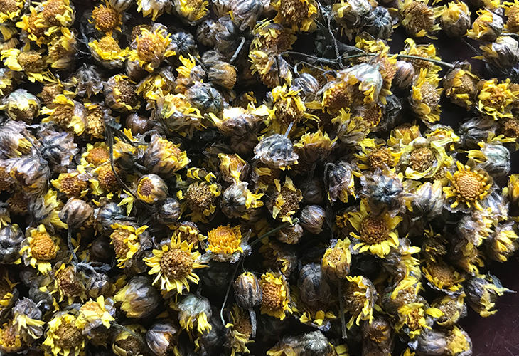 菊花烘干機廠家