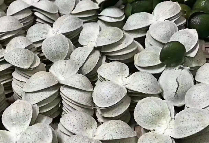 陳皮干燥設備