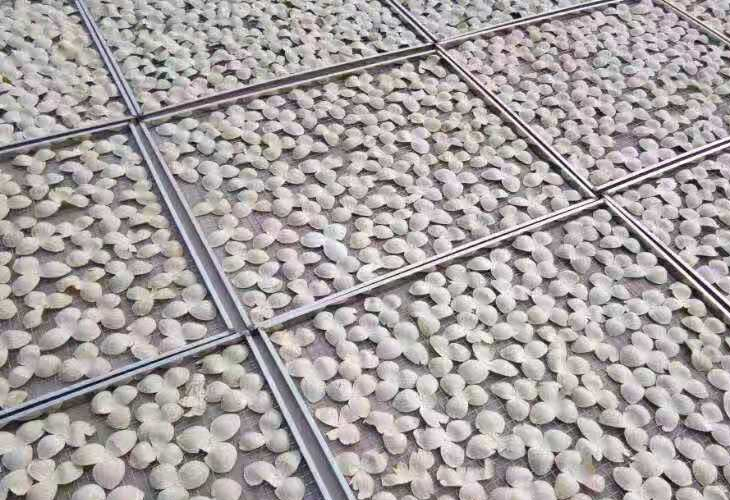 陳皮烘干機廠家