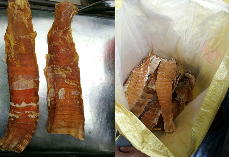竹筍烘干機廠家