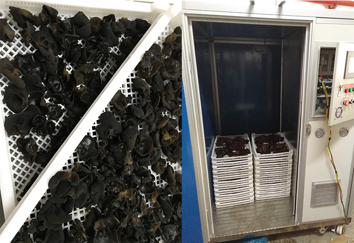 食用菌烘干機