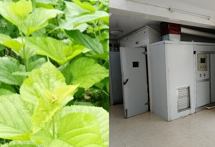 烘干機廠家