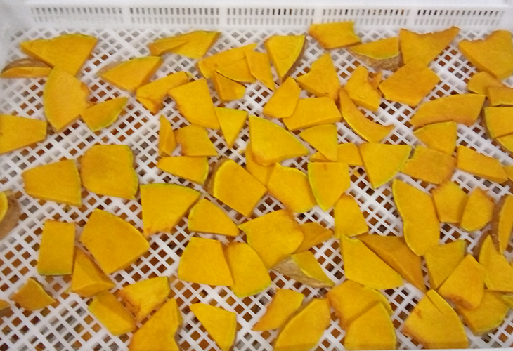 南瓜烘干機(jī)