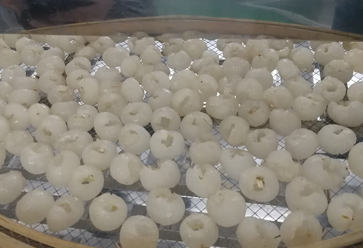 桂圓烘干機