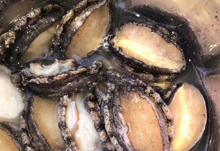 鮑魚烘干機