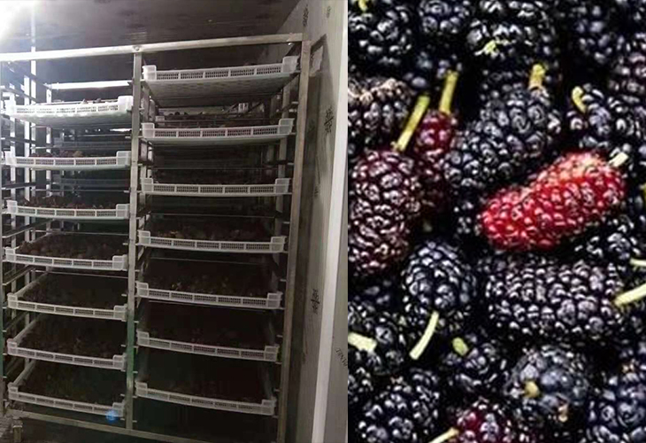 食品烘干機
