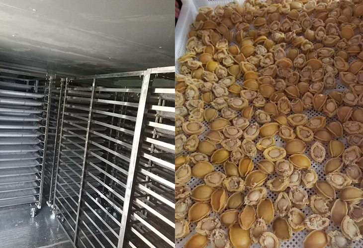 鮑魚烘干房